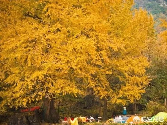 水没坪村