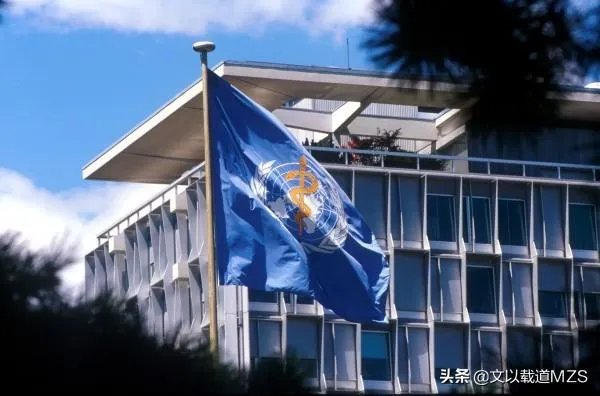 美国正式提出退出世卫组织,意味着什么,世界抗疫会出现怎样的结果?