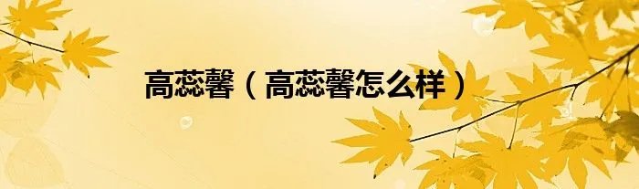 高蕊馨（高蕊馨怎么样）