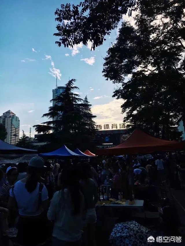 一个人去看演唱会是什么感觉?
