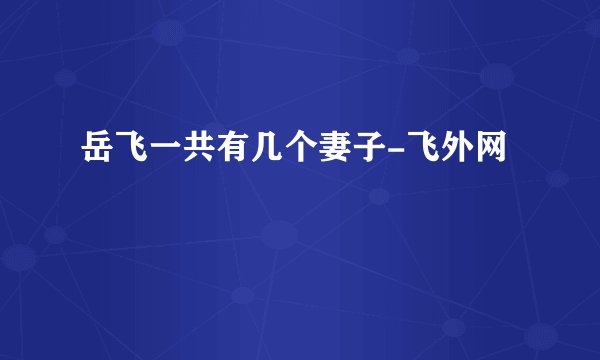 岳飞一共有几个妻子-飞外网