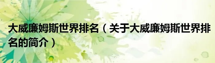 大威廉姆斯世界排名（关于大威廉姆斯世界排名的简介）