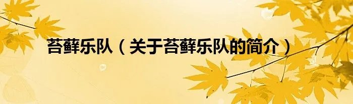 苔藓乐队（关于苔藓乐队的简介）