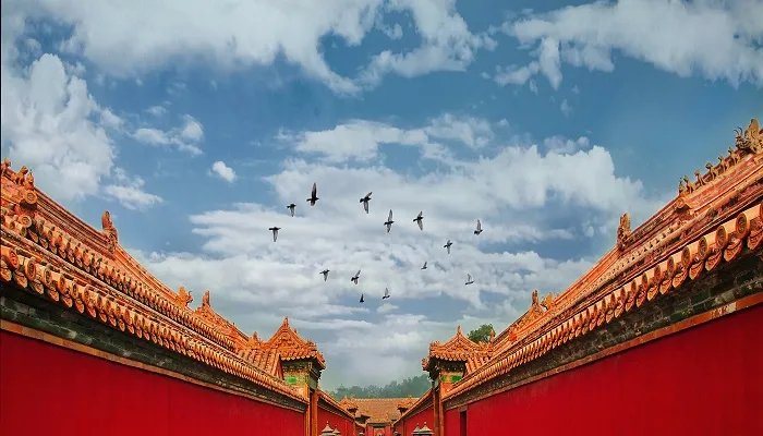 左宗棠怎么死的