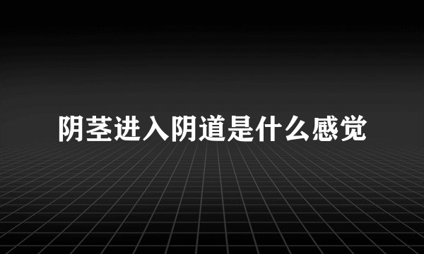 阴茎进入阴道是什么感觉