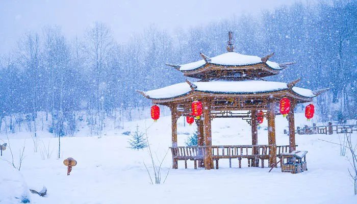 沁园春雪赏析