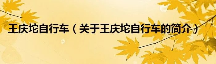 王庆坨自行车（关于王庆坨自行车的简介）