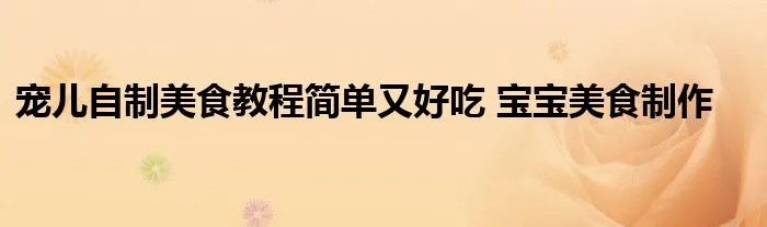 宠儿自制美食教程简单又好吃 宝宝美食制作
