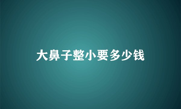 大鼻子整小要多少钱