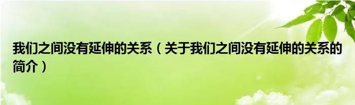 我们之间没有延伸的关系（关于我们之间没有延伸的关系的简介）