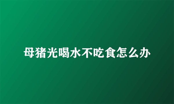 母猪光喝水不吃食怎么办