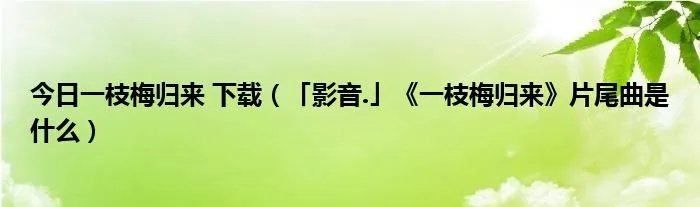 今日一枝梅归来 下载（「影音.」《一枝梅归来》片尾曲是什么）