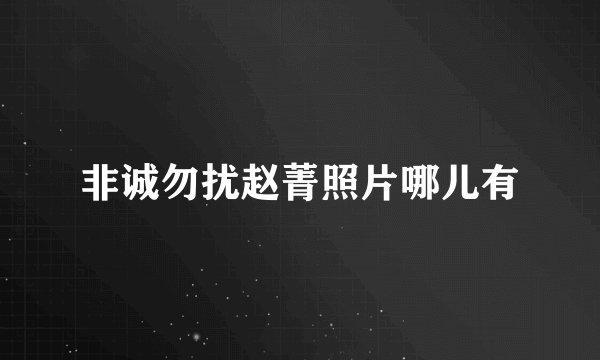 非诚勿扰赵菁照片哪儿有