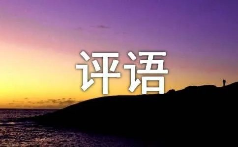 工作表现态度评语