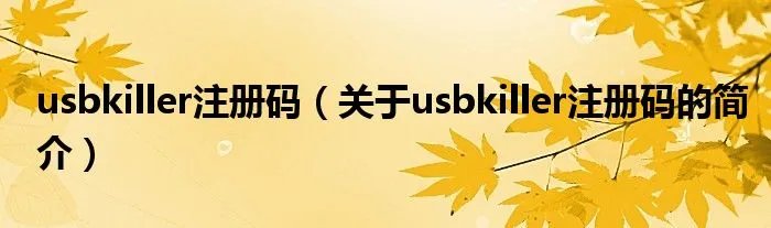 usbkiller注册码（关于usbkiller注册码的简介）