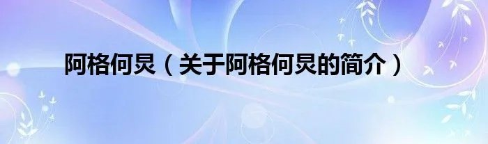 阿格何炅（关于阿格何炅的简介）