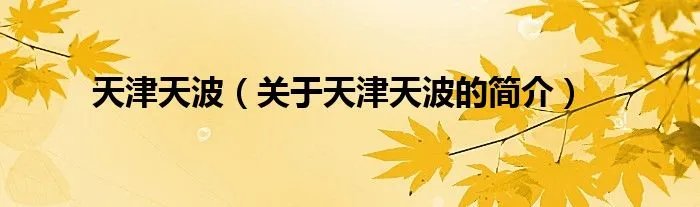 天津天波（关于天津天波的简介）
