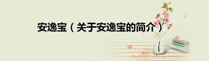 安逸宝（关于安逸宝的简介）