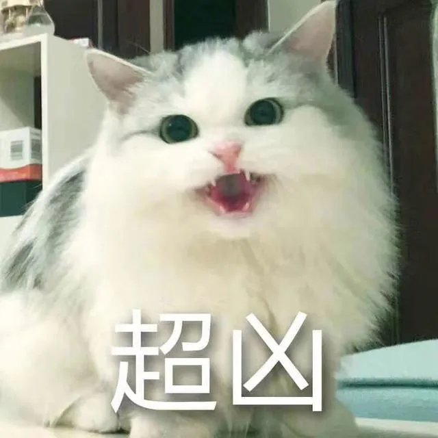 描述一下你的异地恋吧?