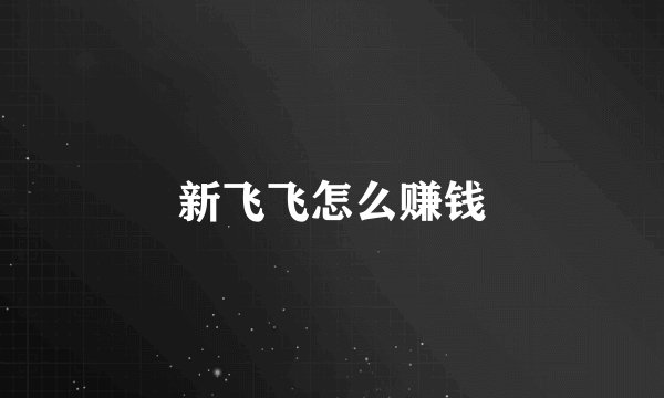新飞飞怎么赚钱