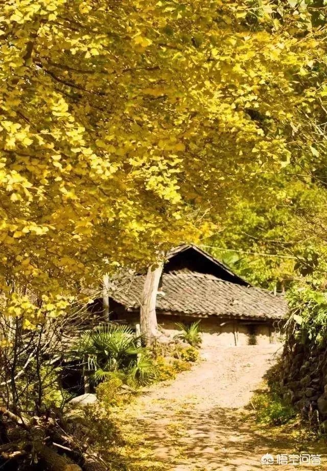 水没坪村