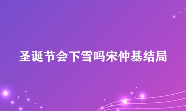 圣诞节会下雪吗宋仲基结局