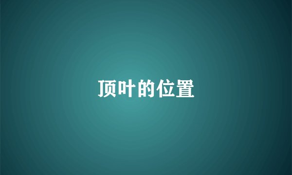 顶叶的位置