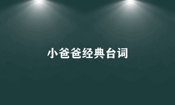 小爸爸经典台词
