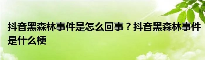 抖音黑森林事件是怎么回事？抖音黑森林事件是什么梗