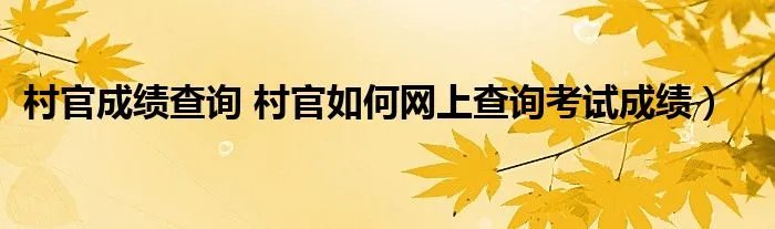 村官成绩查询 村官如何网上查询考试成绩)