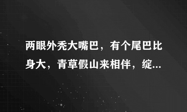 两眼外秃大嘴巴，有个尾巴比身大，青草假山来相伴，绽放朵朵大红花。 提示：动物
