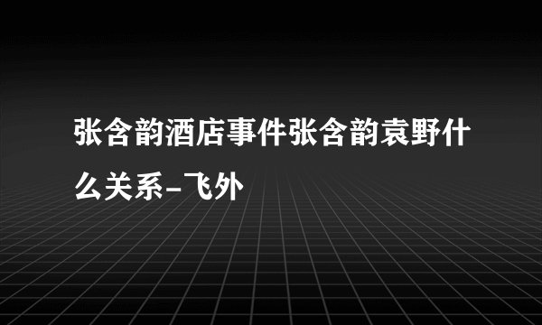 张含韵酒店事件张含韵袁野什么关系-飞外