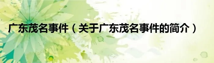 广东茂名事件（关于广东茂名事件的简介）