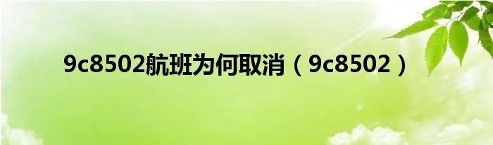 9c8502航班为何取消（9c8502）