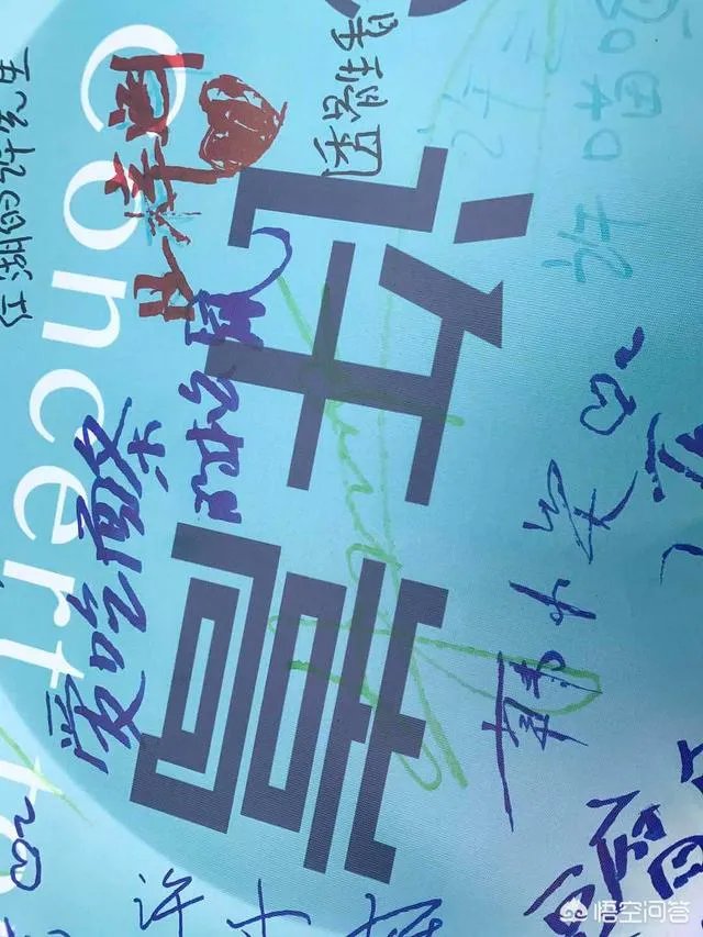 一个人去看演唱会是什么感觉?