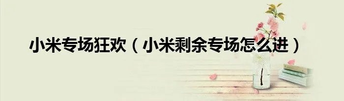 小米专场狂欢（小米剩余专场怎么进）