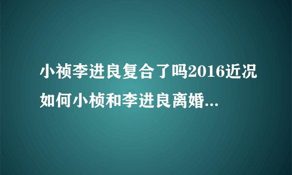 小祯李进良复合了吗2016近况如何小桢和李进良离婚了吗_飞外网