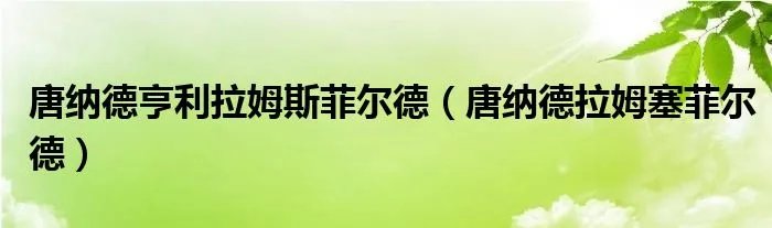 唐纳德亨利拉姆斯菲尔德（唐纳德拉姆塞菲尔德）