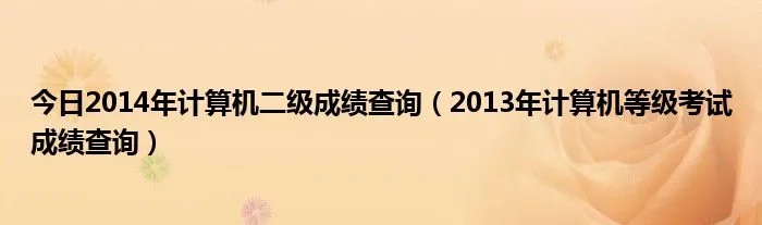 今日2014年计算机二级成绩查询（2013年计算机等级考试成绩查询）