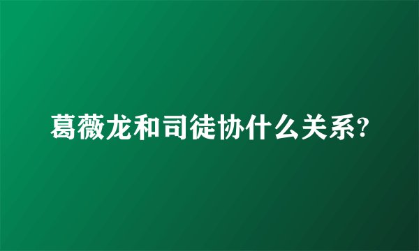 葛薇龙和司徒协什么关系?
