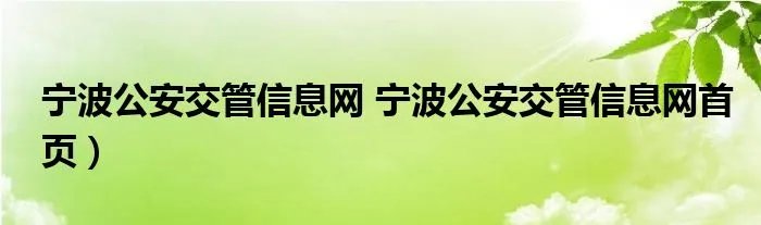 宁波公安交管信息网 宁波公安交管信息网首页）