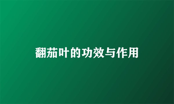 翻茄叶的功效与作用