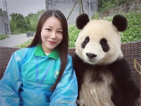 萌翻了!大熊猫与妹子合影居然会自己找角度