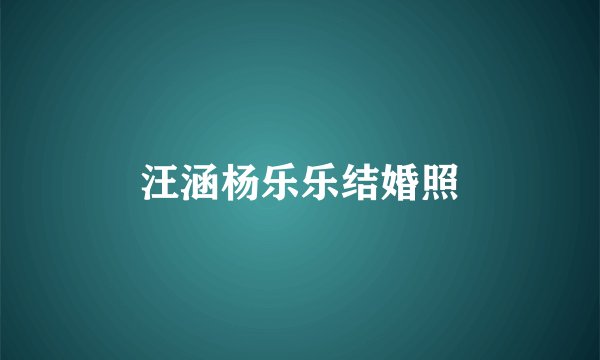 汪涵杨乐乐结婚照