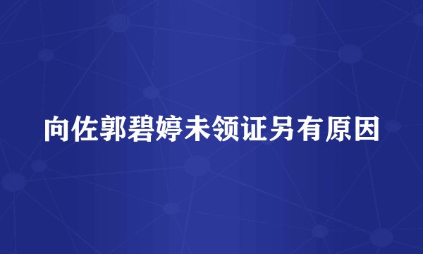 向佐郭碧婷未领证另有原因