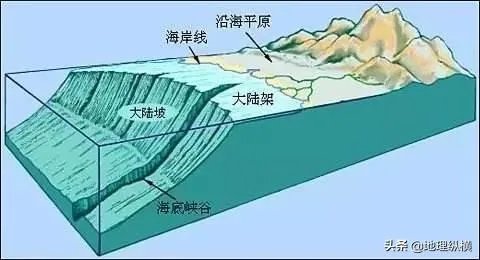 海洋生物资源最丰富的是哪个大洋？有什么依据？