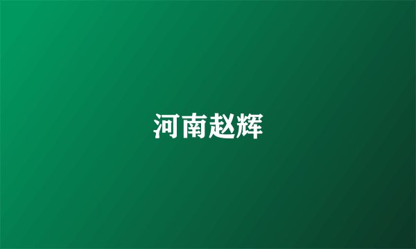 河南赵辉
