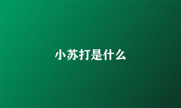 小苏打是什么