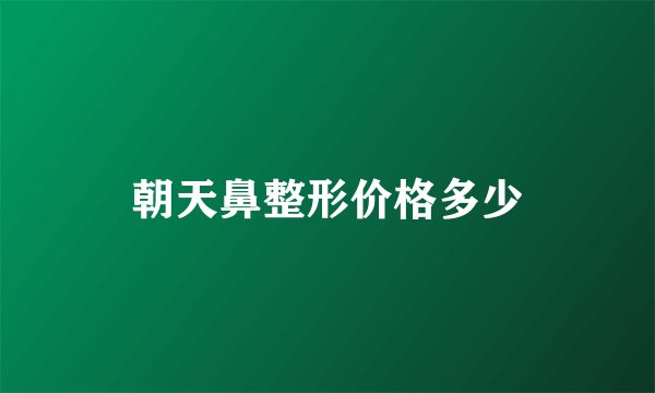 朝天鼻整形价格多少