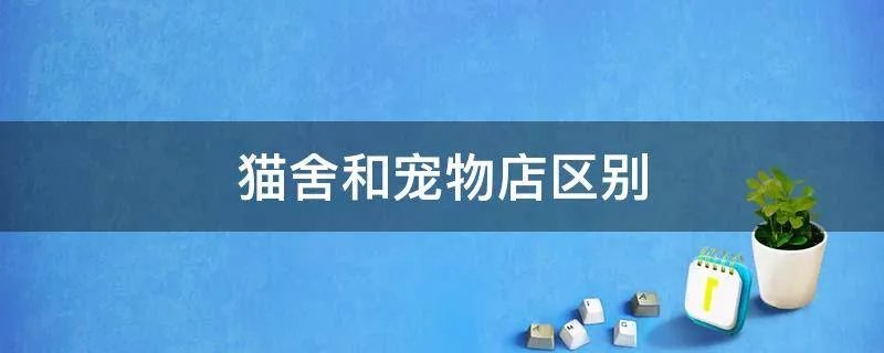 猫舍和宠物店区别